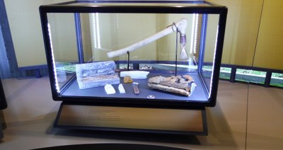 3 vitrine metal exp