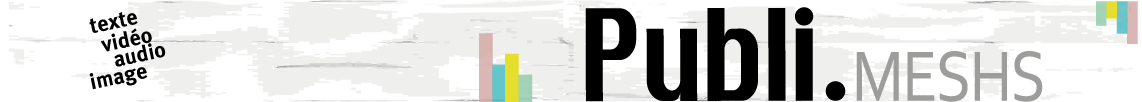 Plateforme de la Maison européenne des sciences de l'homme et de la société