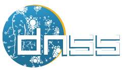 logo dnss2