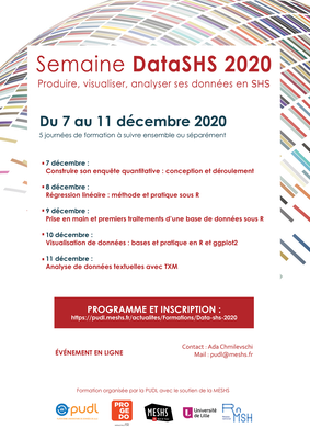 datashs2020png